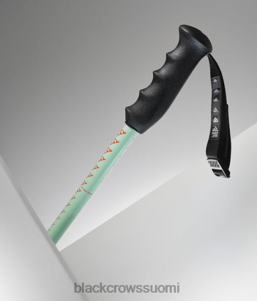 Lisätarvikkeet Black Crows duos junius sauvat turkoosi juniori Z848V280